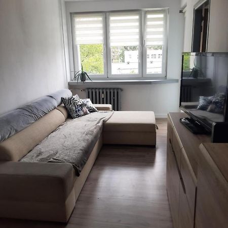 Apartament Komfortowy - W Pelni Wyposazony - Spaceapart Apartment Jelenia Góra Екстериор снимка