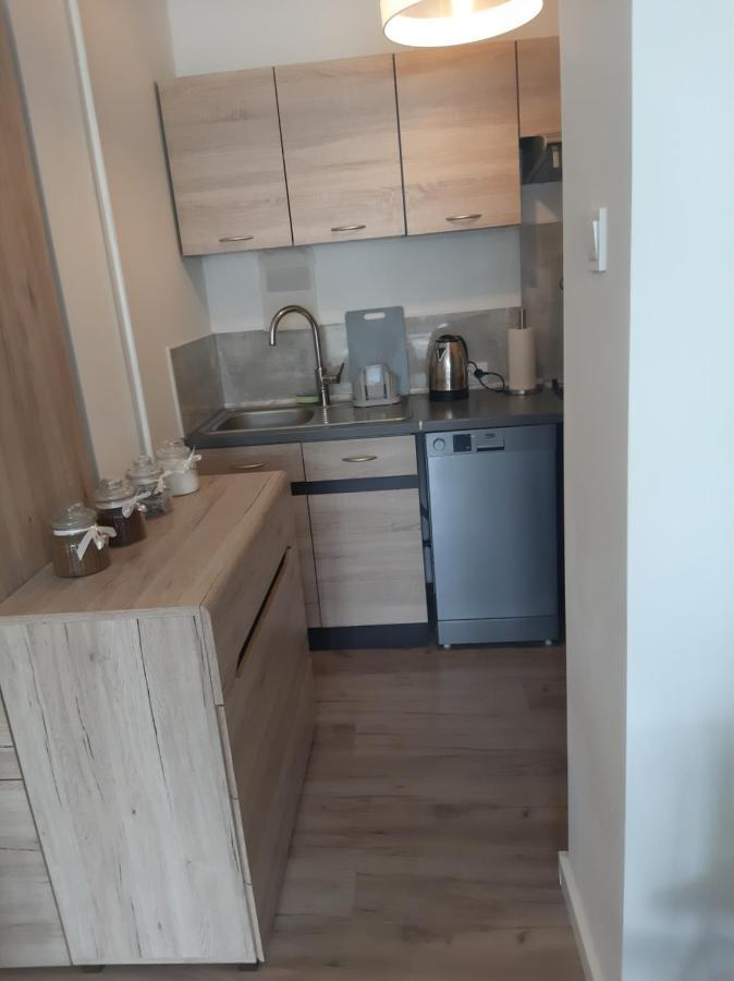 Apartament Komfortowy - W Pelni Wyposazony - Spaceapart Apartment Jelenia Góra Екстериор снимка